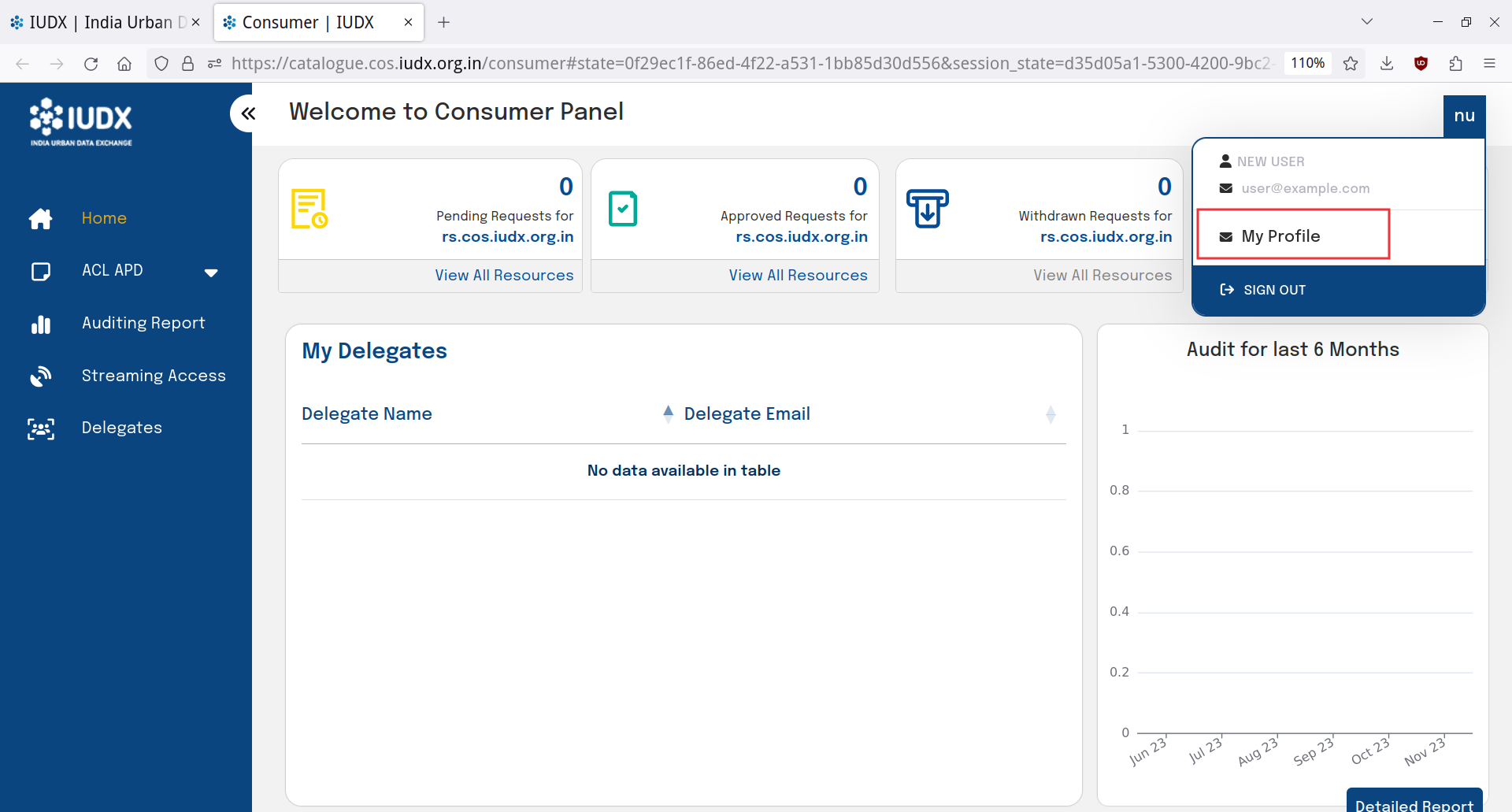 Entering into the My Profile panel